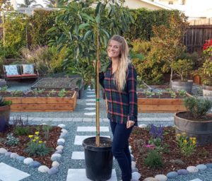 DeannaCat standing with a potted avocado tree in the Homestead and Chill gardens, about to plant the tree