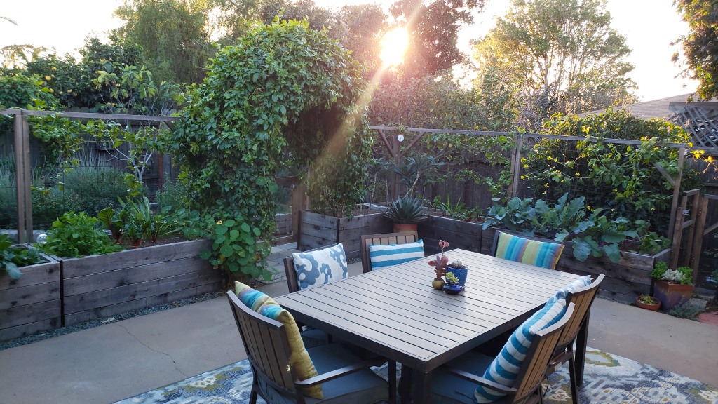 The patio garden, surrounded it with raised beds and trellises, doubling as a enclosure to keep the chickens in the rest of the back yard. There is a large arch, covered in passionfruit vines, leading out to the rest of the back yard. A table sits in the middle of the patio area, with a colorful outdoor rug and striped pillows. The setting sun is beaming through the trees.