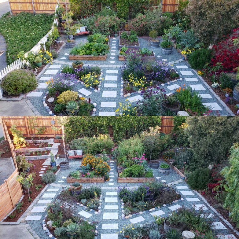 Top half: Spring 2018
Bottom half: Fall 2018. Note the new corner addition, terracing, and fence we built! Instead of weedy pest-laden ice plant, the corner now houses 5 fruit trees and dozens of perennials.