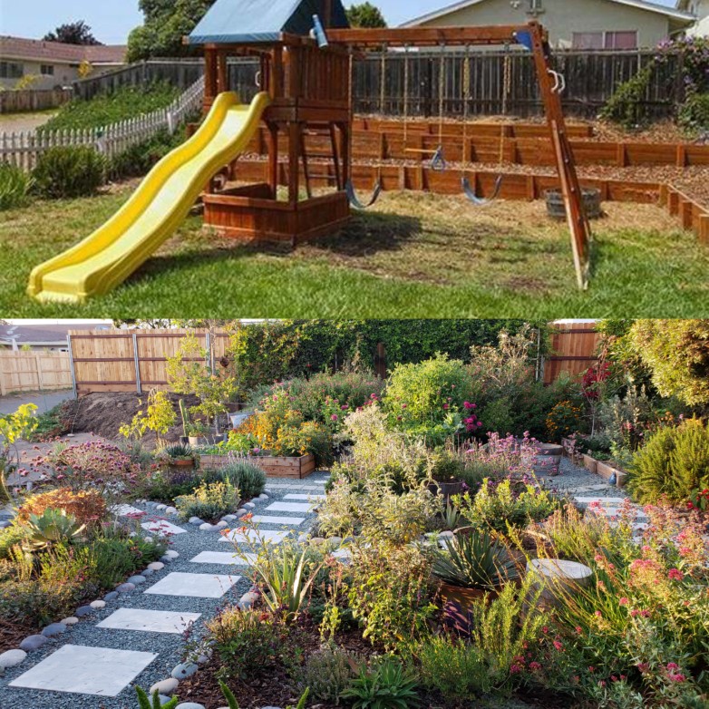 Top half: A photo from the front yard from our real estate listing when we bought in July 2013. A bare lawn and childs play set.  Bottom half : August 2018. Note the white picket fence to the left is missing, and so is that mound of ice plant. We are about to get part of the driveway cut out and removed, and expand the front yard garden by a couple hundred square feet! Everything is lush and grown in, just waiting for the new corner to be finished.