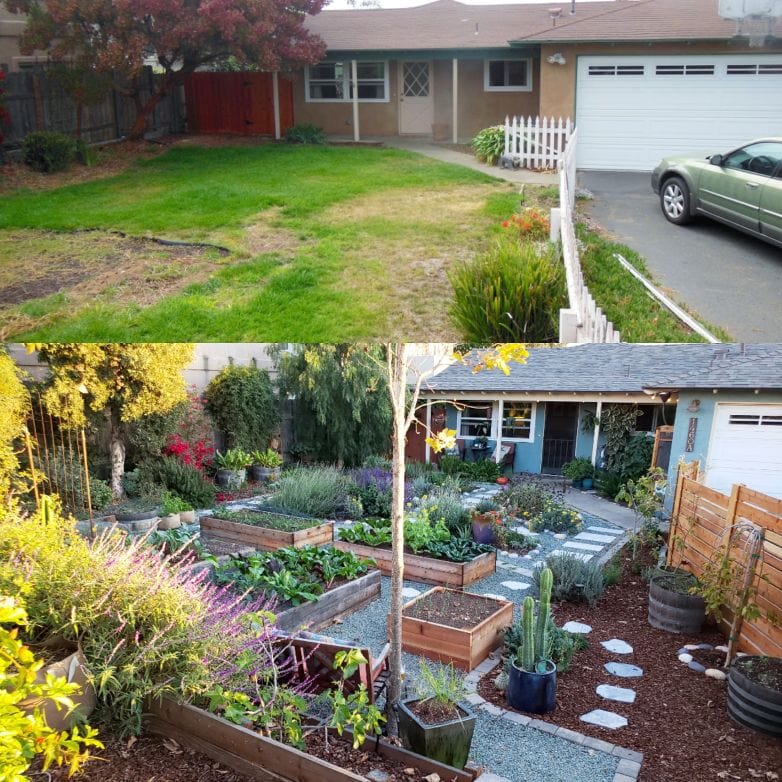 A before and after shot of our front yard. The "before" after shows a barren half-dead lawn. The "after" photo shows all of the grass removed, and in it's place, tons of raised garden beds, potted plants, fruit trees, gravel and stone pathways, and a new place full of life. 