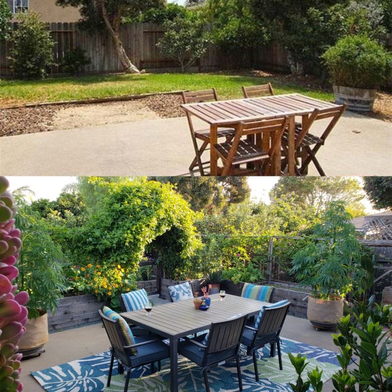 Before and after: A shot from the July 2013 real estate listing for our property, with a plain concrete patio and grassy yard.
Bottom: The patio garden in fall of 2018, completely enclosed with raised garden beds, overflowing with plants. The chickens free range the back yard on the other side of the raised beds.