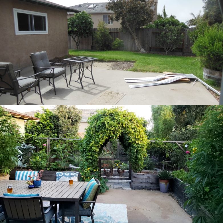 Top: Summer 2013
Bottom: Summer 2018. The passionfruit arch is a focal point, and also excellent privacy feature from the neighbor behind us!