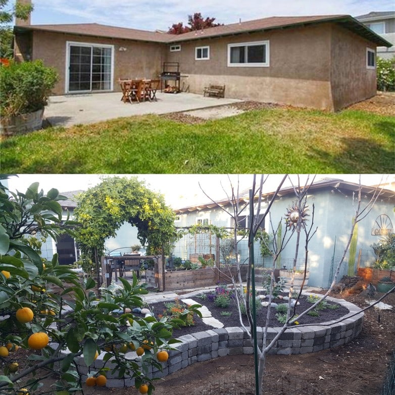 A before and after of our back yard garden, when we had just finished building a raised bed "the pollinator island" from concrete blocks.  The before image shows a plain empty backyard grass, and concrete patio. In the after photo, the grass is gone and a curvy stone raised bed is in its place, and the patio is now surrounded with wood raised beds.