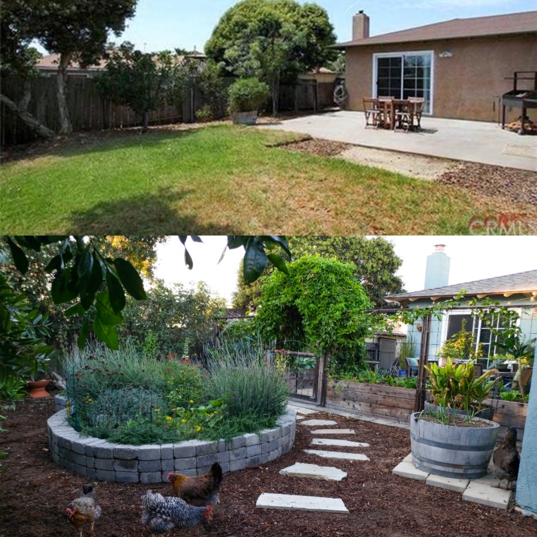Top: July 2013, the last real estate listing. A plain grassy back yard.
Bottom: Winter 2018. A completely transformed space, with raised garden beds surrounding the patio, a stone raised bed full of flowers on the outside of it where there used to be grass, a flagstone pathway winding around it, chickens roaming, and fruit trees. 