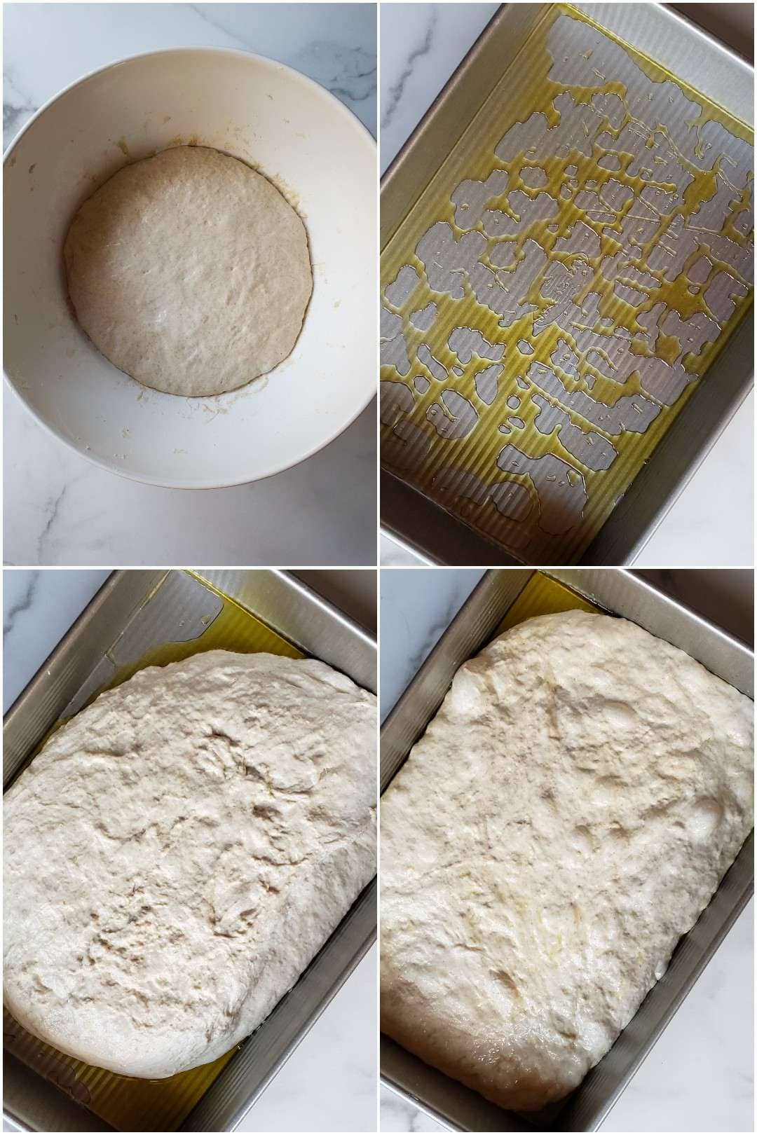 A four part image collage, the first image shows the white mixing bowl with the dough resting inside it. The second image is of a baking pan that has been oiled with extra virgin olive oil. The third image shows the dough once it has been transferred into the oiled pan. The fourth image shows the dough after it has been lightly pushed and pulled to fill out the dimensions of the pan.