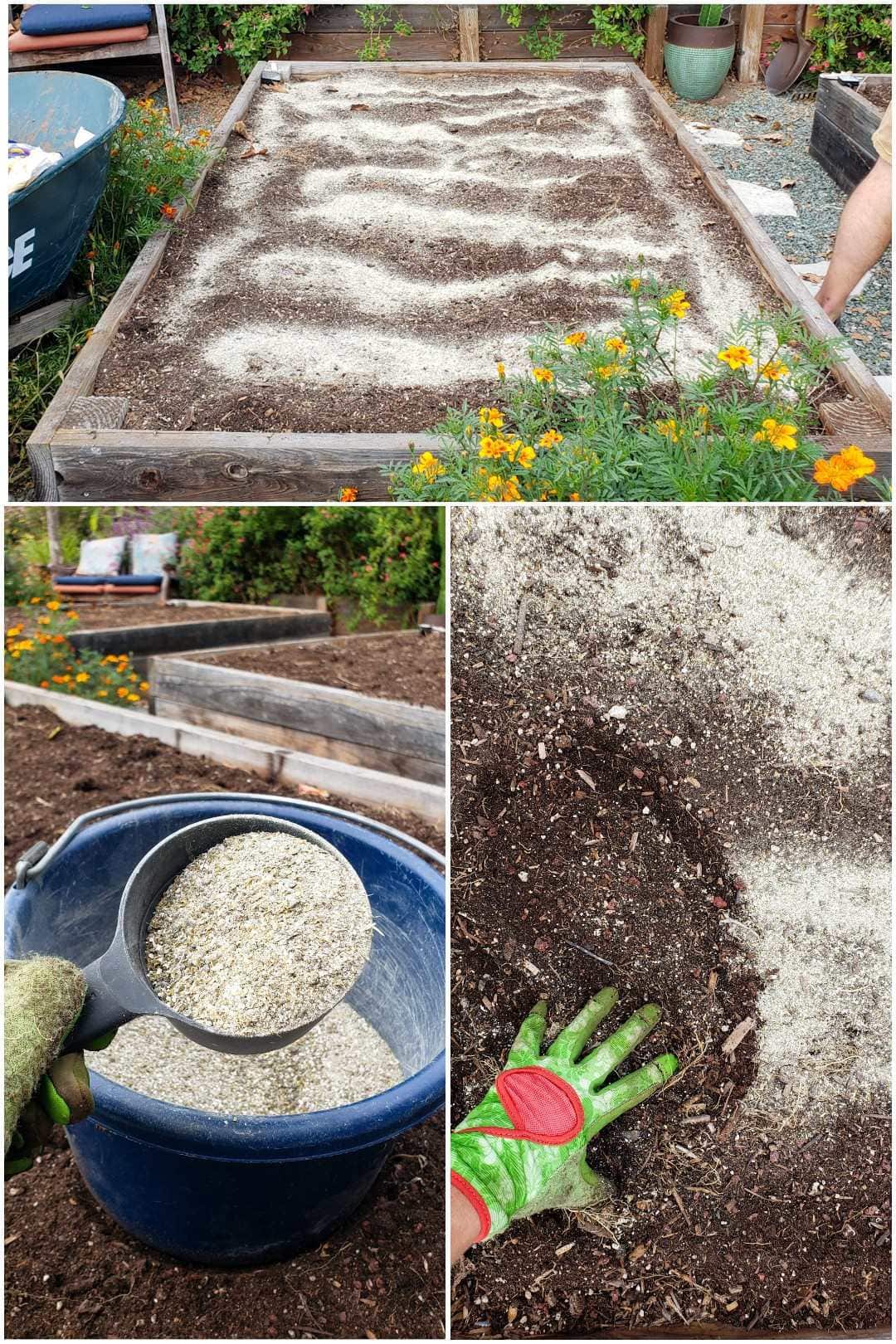 A three part image collage, the first image shows a garden bed that is empty of plants yet is full of soil. There  is a whitish dust spread throughout the top of the soil. There is a wheel barrow next to the garden bed, as well as various marigolds. The second image shows a blue bucket sitting on top of an empty garden bed, a hand is holding a measuring cup of sorts directly above the bucket where the measuring cup and bucket both contain various amendments used to feed the soil and the plants that will soon be planted in it. The third image shows the top of a garden bed, the soil has been sprinkled with the amendments, and a gloved hand is starting to scratch the amendments into the soil, mixing it into the top inch or so. 