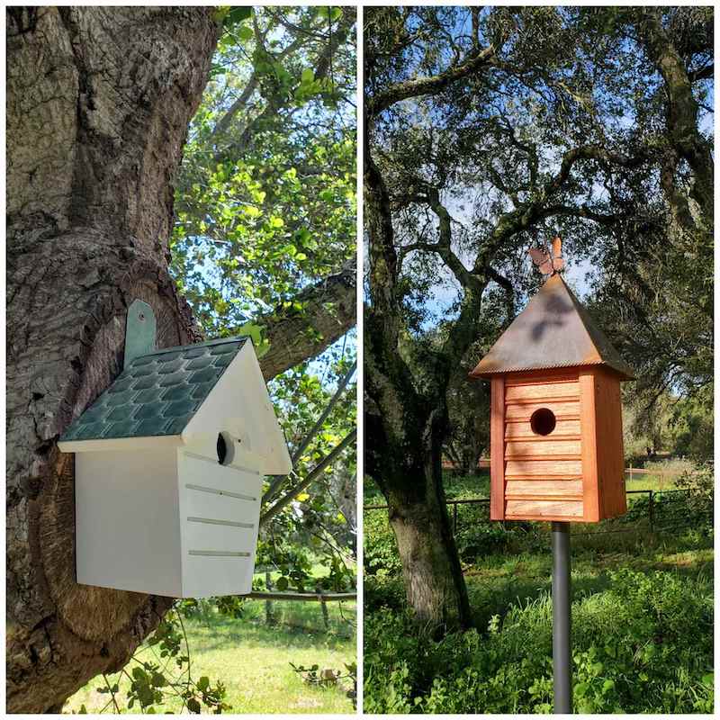 A two way image collage of bird houses, the first image shows a white bird house attached to a flat section of a large oak tree. The second image shows a brown bird house that is attached to a large stake which is firmly staked into the ground. Each house has a slightly different sized hole or opening which is made for specific sized birds. 