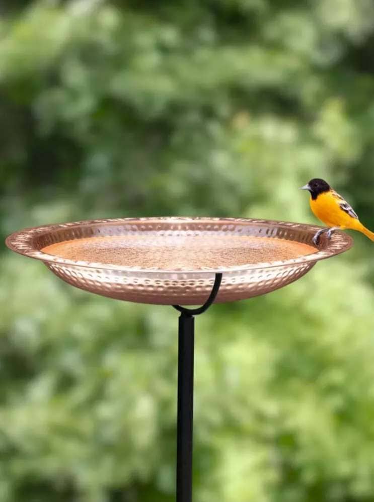 A copper bird bath is sitting atop a black stake that is holding it upright. A bird is sitting on the edge of the bird bath. 