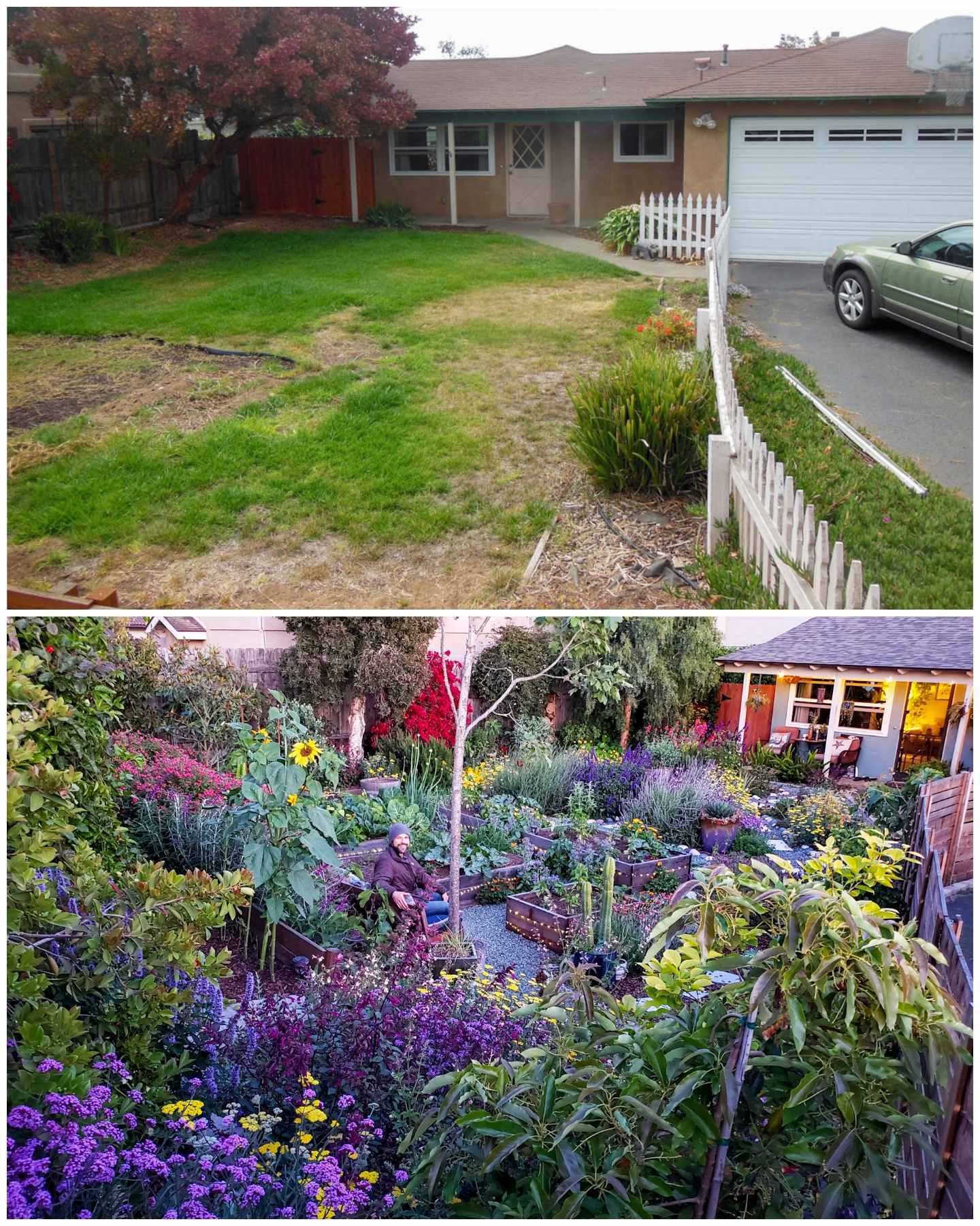 A two part image collage, the first image shows a front yard and front of a house. The yard consists of grass, weeds, and bare patches. The second image shows the same yard space years later, fully filled in with various fruit trees, pollinator plants, raised garden beds full of vegetables, and a new side fence. The yard and house are completely unrecognizable from the original picture. Attract birds to your garden by creating a complete ecosystem for plant and wildlife alike. 