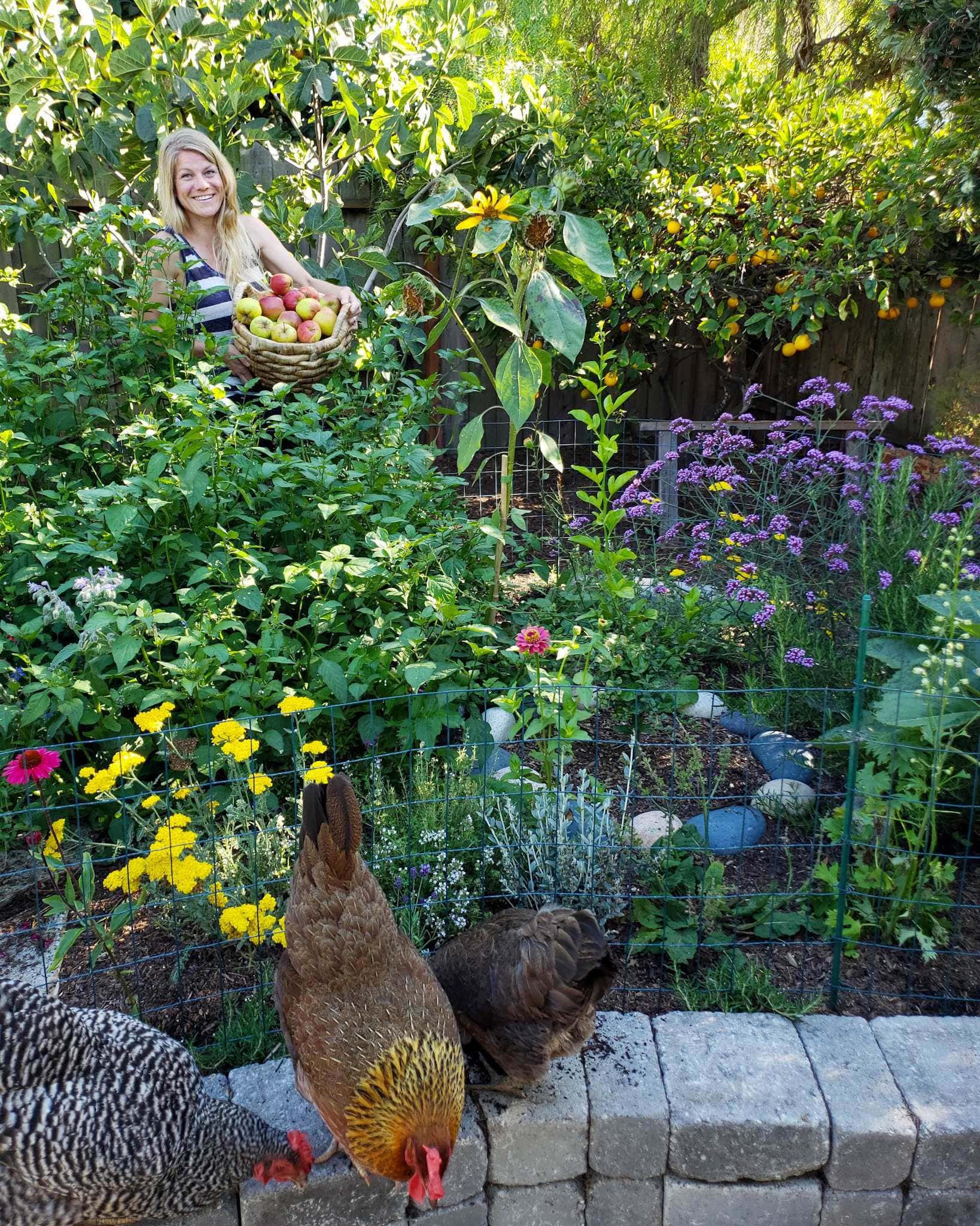 DeannaCat is standing on the far side of a raised stone pollinator island. She is holding a basket of apples and is standing next to a fig tree that has blended in with the rest of the trees in the background as well as all of the perennials in the foreground. There are also three chickens sitting on the edge of the stone island in the immediate foreground, the colors of the image range from mostly greens to purple, yellow, and some pink. 