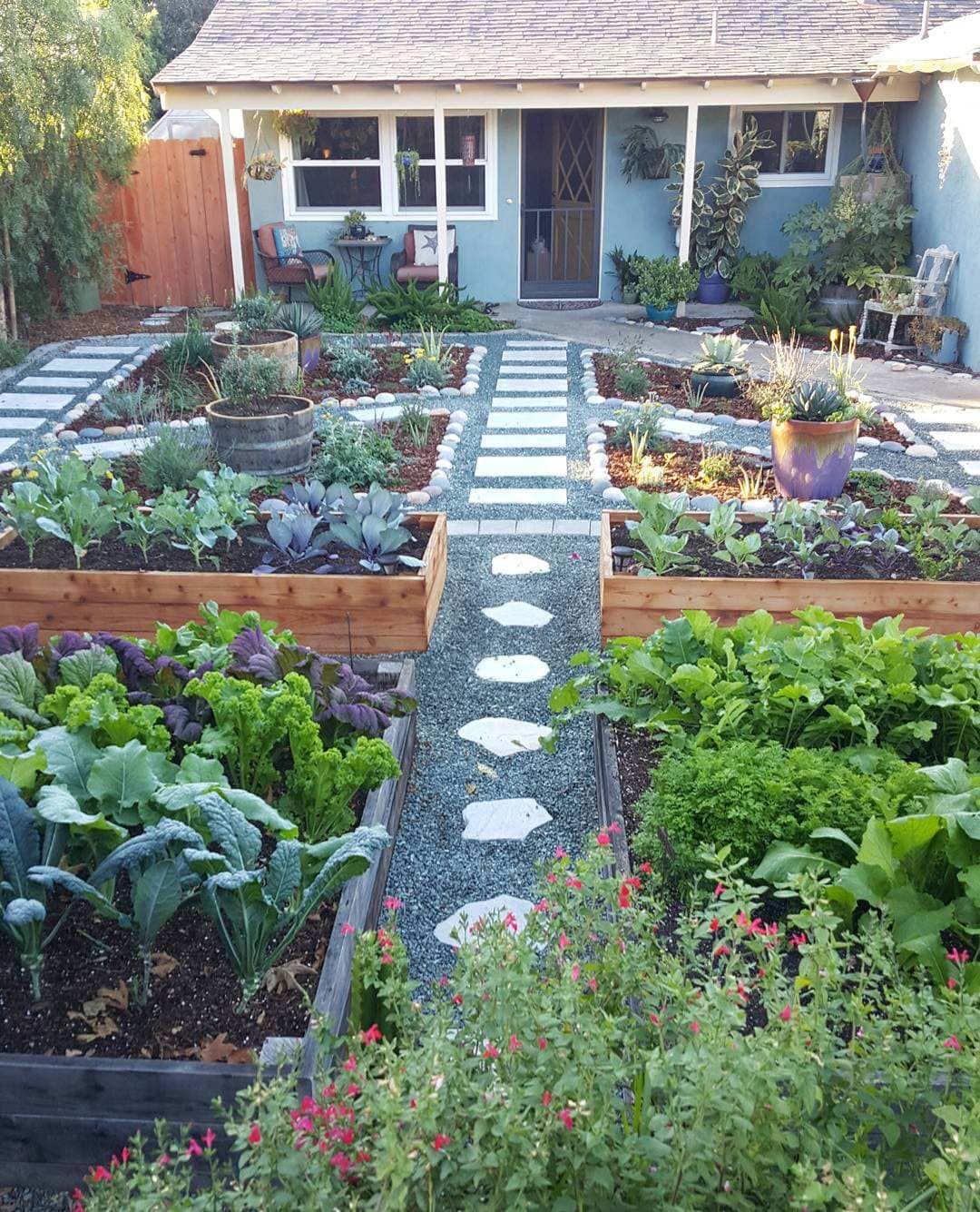 A view of the front of a blue green house, in the foreground lies four raised garden beds that are filled with cool season vegetables such as kale, mustard greens, bok choy, radish, carrots, cabbage, and cauliflower. There are gravel lined pathways with stone pavers leading towards the house. There are four smaller planting islands that are in ground with perennial and annual plants closer to the house.