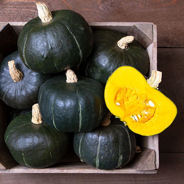 Green buttercup winter squash sitting in a wooden box, one of the squash has been cut in half to show the bright yellow orange flesh inside. There are many winter squash varieties to choose from for you garden. 