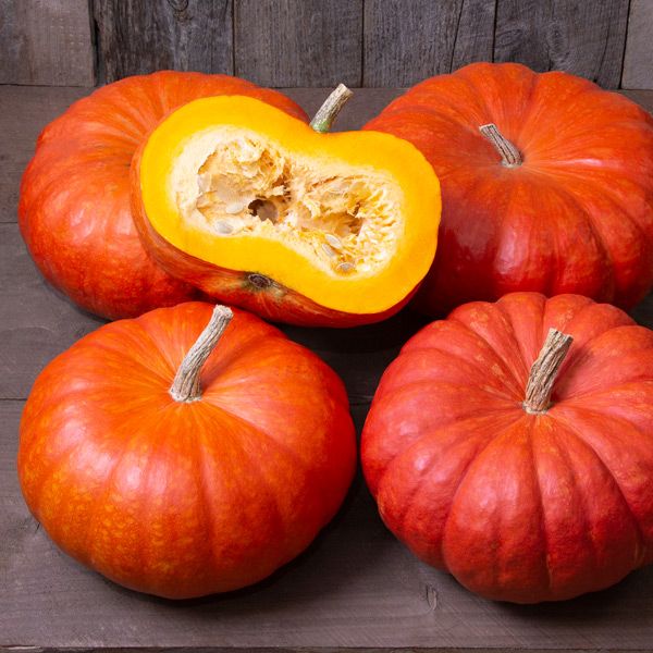 Four squash that are bright orangish red in color while being wide and flat in shape with deep ridges. One that has been cut reveals bright orange flesh within. There are so many winter squash varieties to grow and eat, you may need more garden space. 