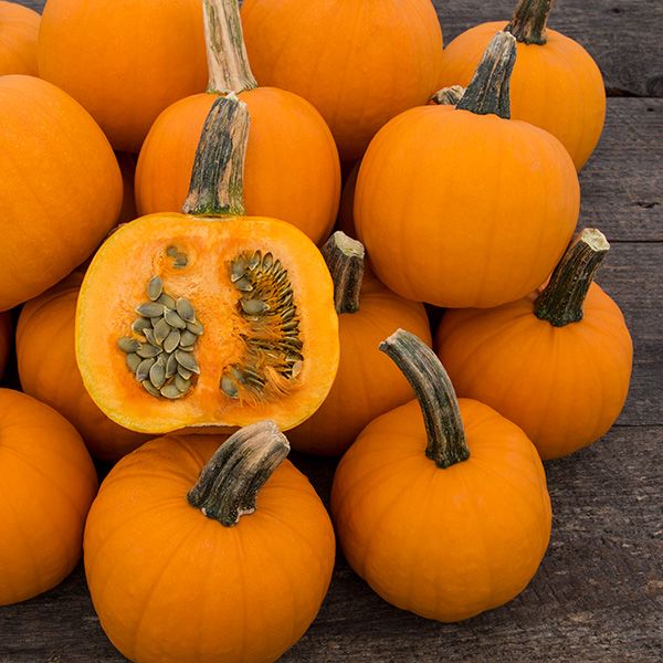 Smaller orange pumpkins sit stacked atop one another two high. They have long dark stems, bright orange skin and matching orange flesh. Their seeds are hull-less so they are green in color without the seed shell. 
