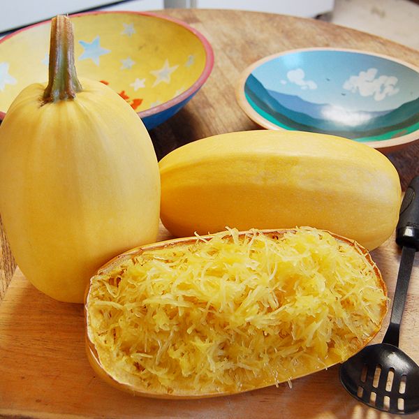 Two fresh yellow spaghetti squash are sitting beyond a halved spaghetti squash that has been cooked and the flesh is pulled from its skin, the flesh resembles small yellow noodles. Spaghetti squash is a one of the better winter squash varieties to grow with kids in mind as they enjoy the noodle like flesh. 
