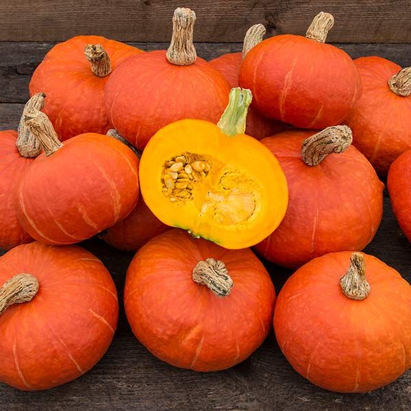 A mound of Sunshine kabocha squash atop a wooden backdrop. The skin is bright reddish orange and the flesh of a cut squash reveals the orange flesh inside. There are numerous winter squash varieties to grow or buy at your local market. 