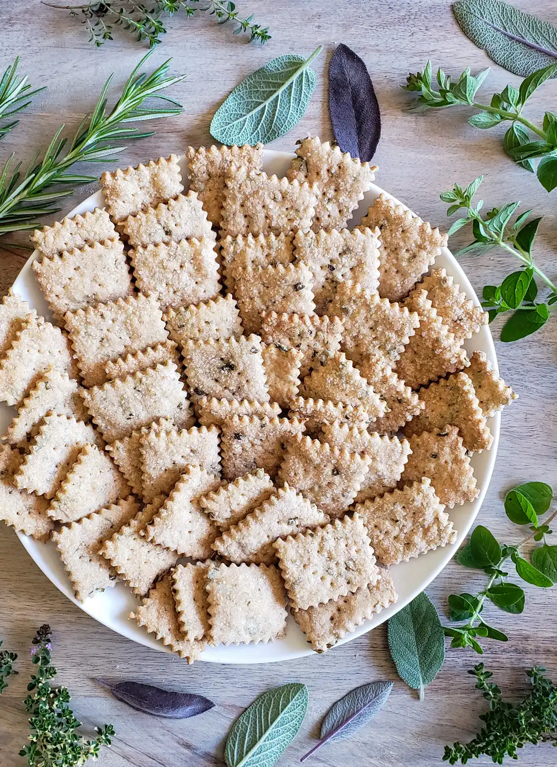 A large plate full of sourdough discard crackers. Flakes of salt and pieces of herbs are visible on the crackers. A variety of fresh herbs garnish the area surrounding the plate. 
