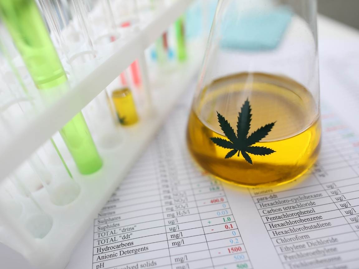 A beaker with a cannabis leaf emblazoned on it is about 1/4 full of oil. There are test tubes in trays nearby as well as lab report called a Certificate of Analysis that should be provided by the CBD company when you choose CBD oil. 
