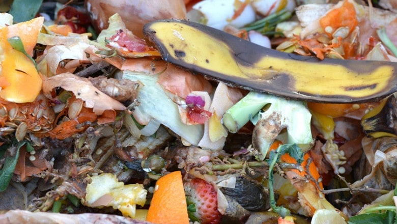 An image of what constitutes a green source in compost. Banana peels, berries, pumpkin guts, broccoli stems among others are just a few items that are considered sources of nitrogen for a compost pile. 