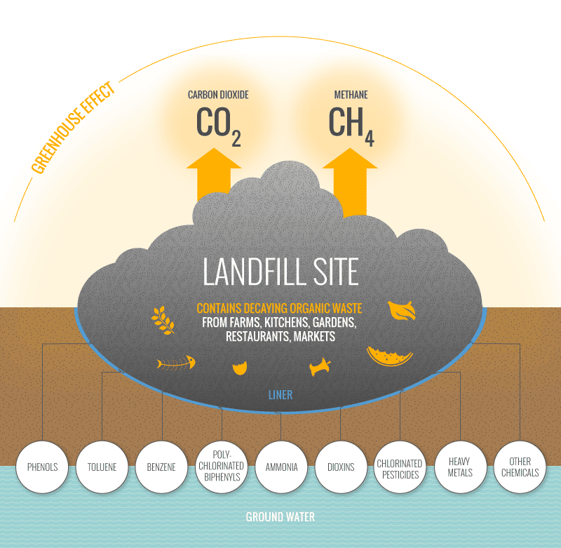 A diagram showing how a landfill site can create a large amount of carbon dioxide and methane gas which gets released into the atmosphere. It also shows how the decaying trash material can release a number of things that can be absorbed into the earth and groundwater such as benzene, ammonia, dioxins, heavy metals, and other chemicals to only name a few. 