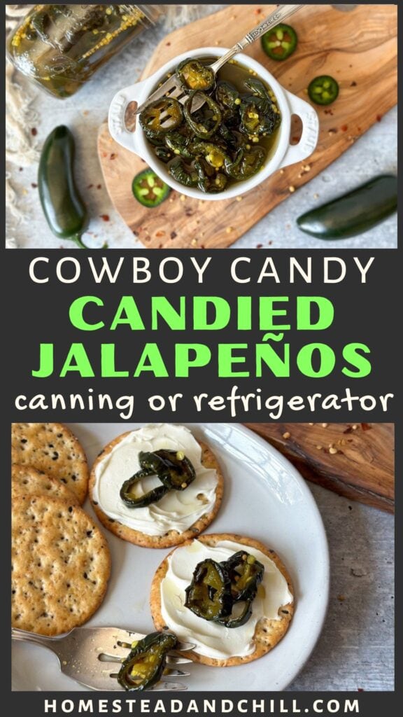 Best Cowboy Candy Recipe (Candied Jalapeños) Canning or Refrigerator 