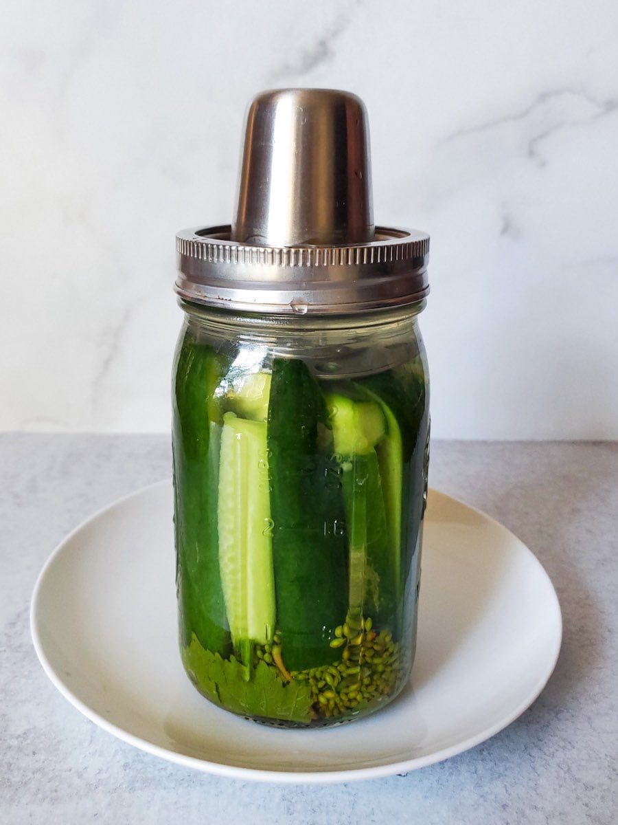 A quart mason jar full of bright green cucumbers that have been halved. There are grape leaves and dill heads visible on the bottom of the jar, there is a fermentation lid on top of the jar and it is sitting on a white plate. This is a fermented pickles recipes. 