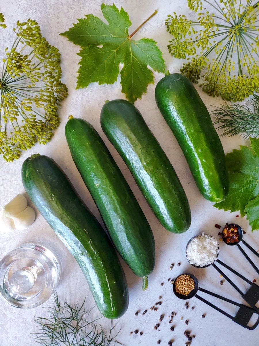 A flat lay image of four cucumbers, dill heads, grape leaves, garlic cloves, dill leaves, a glass ferment weight, and measuring spoons of salt, red chili flakes, and mustard seeds with a scattering of black peppercorns, all surrounding the cucumbers in the middle. 