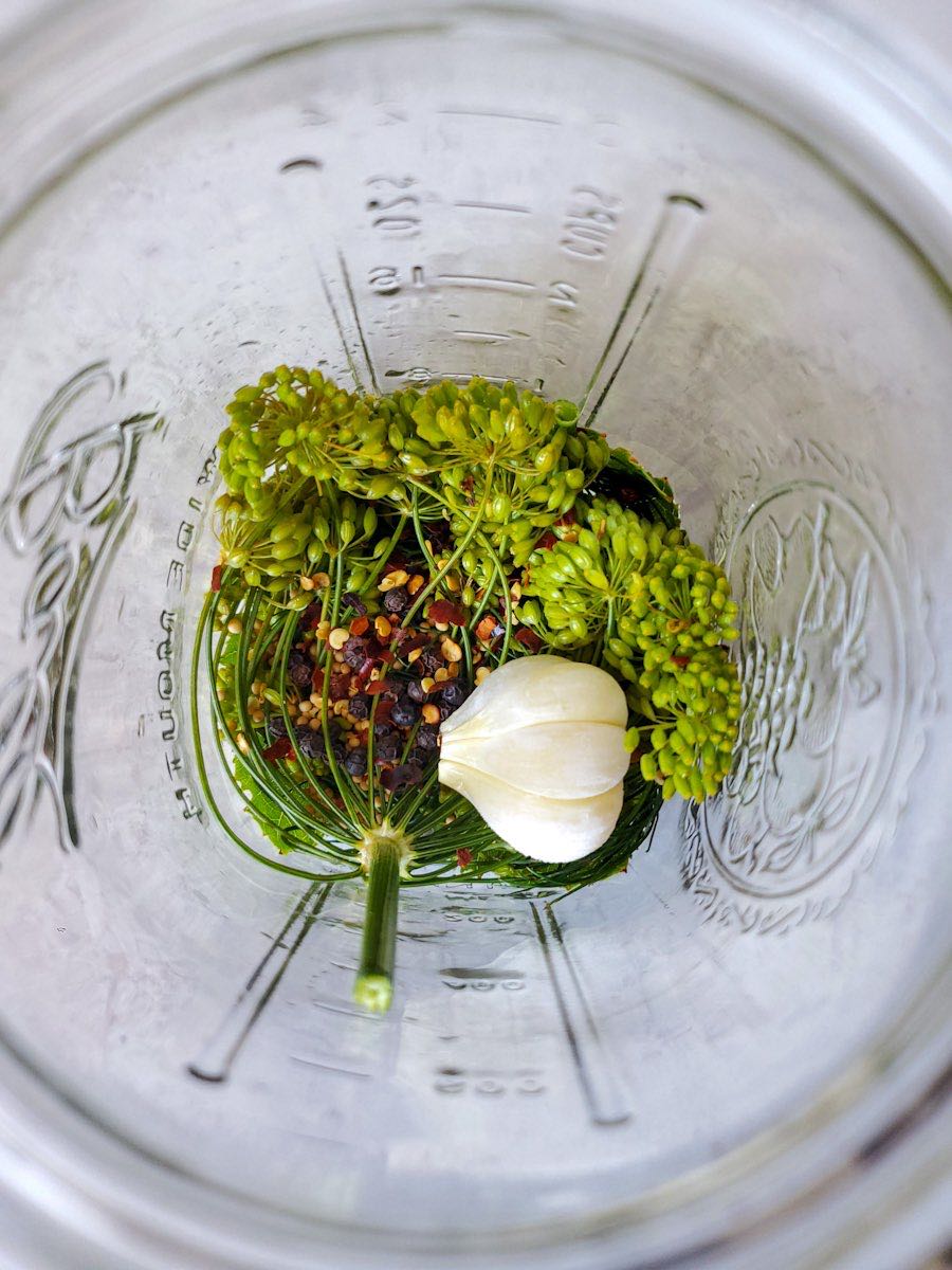 An image from above of a quart mason jar with garlic cloves, dill heads, red chili flakes, peppercorns, and mustard seeds in the bottom of the jar. 