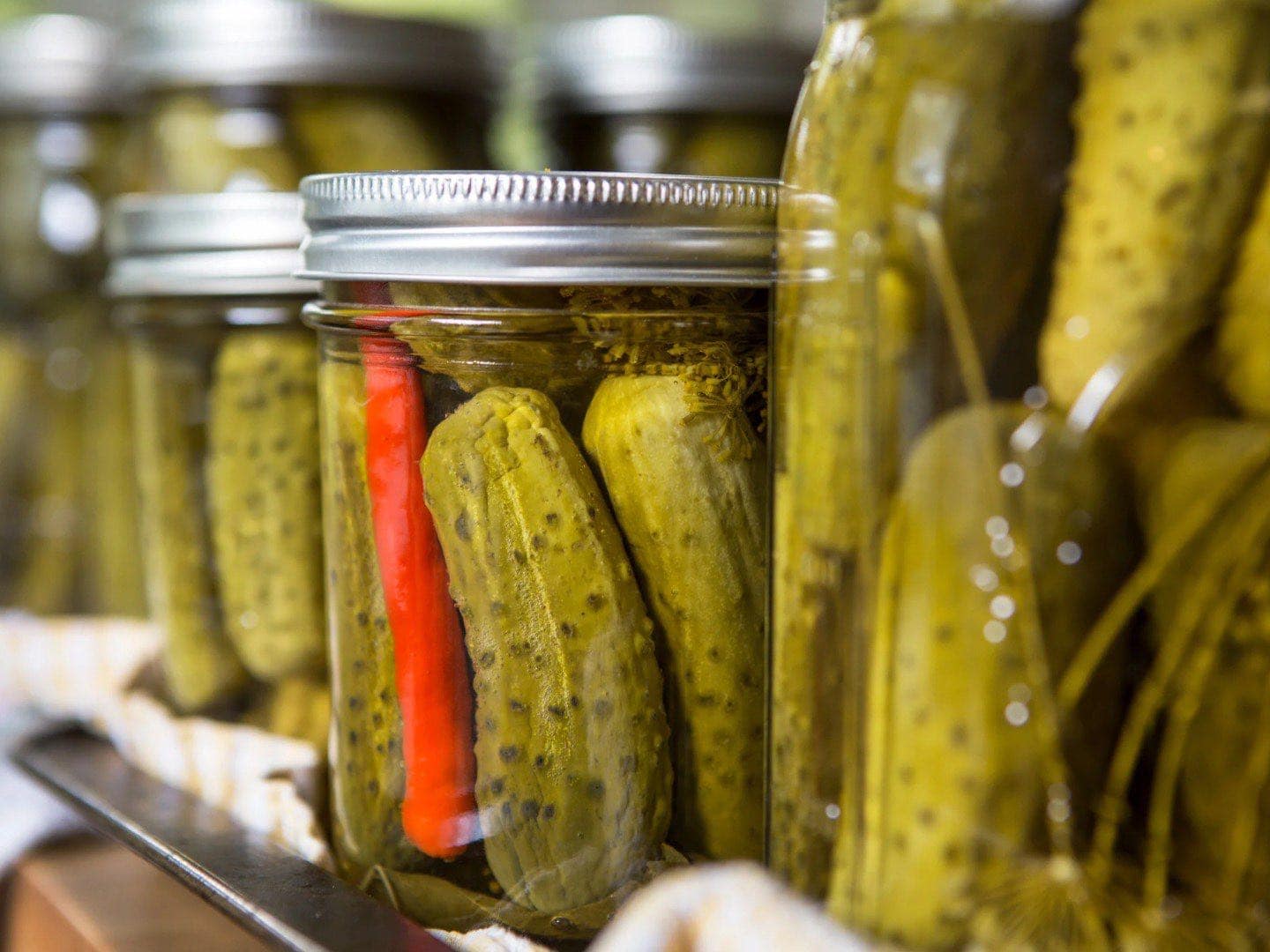 Many mason jars of are shown of varying sizes, each containing whole pickles. 