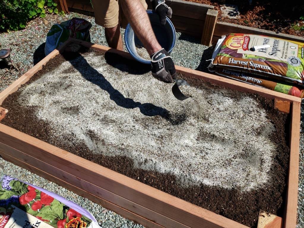 Sprinkling in a combination of kelp, alfalfa and neem meals to the top of the soil once the raised bed is full.  This will be scratched into the top few inches of the soil, and watered in.  We also added some rock dust here, and earlier when the bed was only half-full. 
