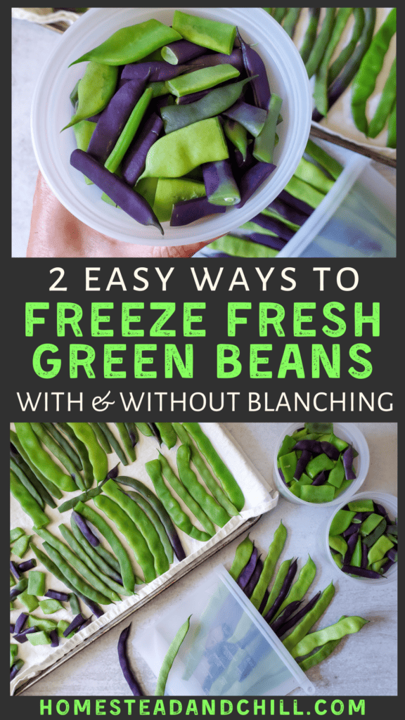 How to Freeze Green Beans (With or Without Blanching)