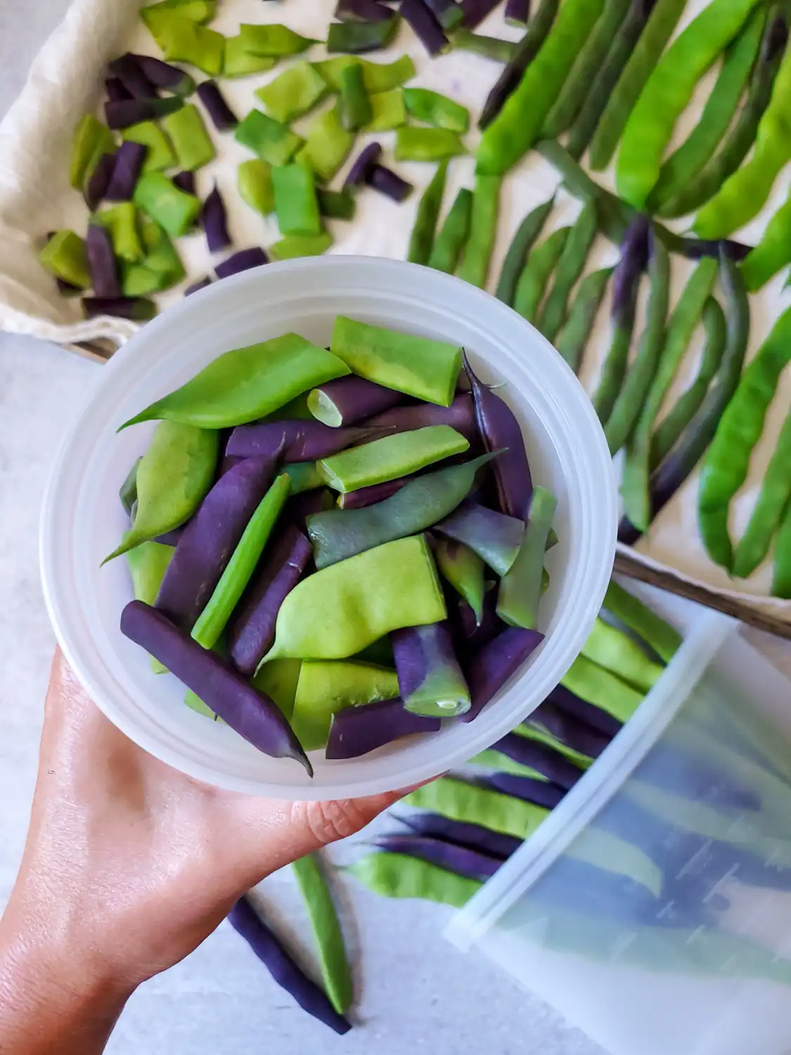 A hand is holding a freezer safe container full of green bean pieces. Beyond are a variety of whole and cut green beans air drying, getting ready to be packed and stored in the freezer. 