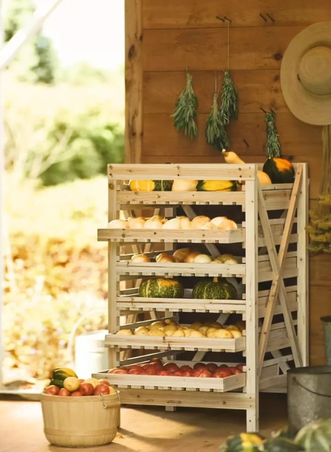 A wooden storage rack with 6 shelves contains a variety of vegetables on each rack. Winter squash, onions, and potatoes are each arrange on different shelves throughout the rack. 