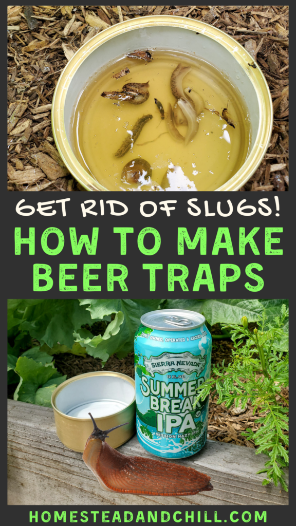 Homemade Beer Traps: Get Rid of Slugs, Pillbugs and More