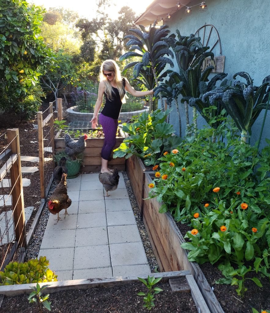 An image of DeannaCat in the coop garden, where a set of four large raised beds form a wide U-shape, with a large portion almost up against the blue house. She is standing in the middle of the U shape, and can reach all areas of the beds from the middle. In the raised beds are 