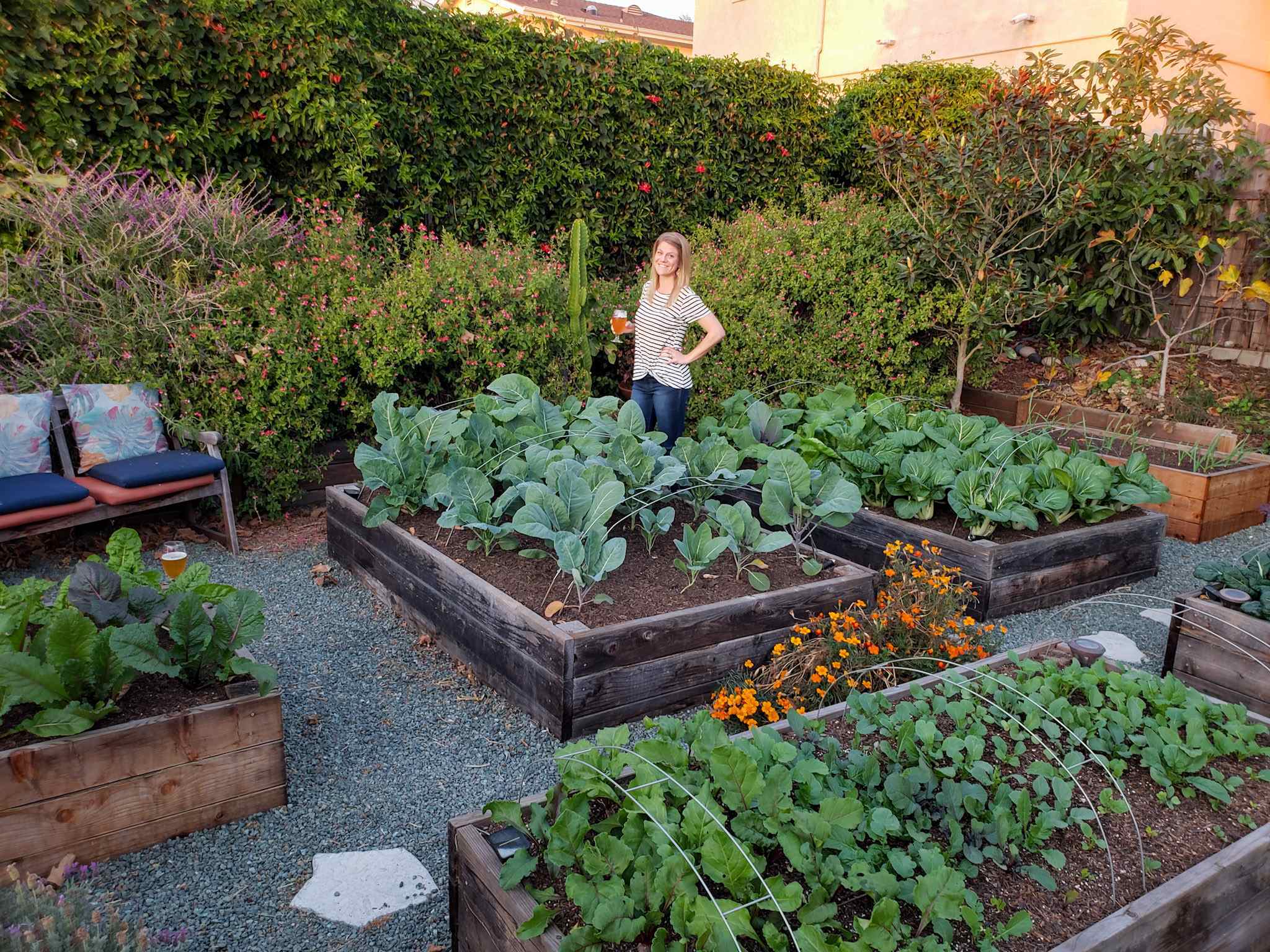 A front yard garden with 6 raised wood garden beds of various sizes. The ground is covered in small blue-green gravel, with stepping stone pathways between the beds. Flowers, shrubs, vines, and potted plants surround the perimeter of the raised bed area. A woman (Deanna) is standing in between the raised garden beds with a beer in her hand.