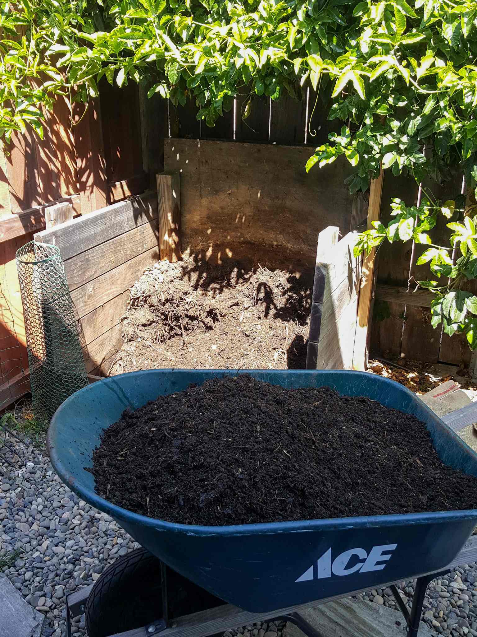 A wheel barrow sits in the foreground full to the brim with freshly made compost that is dark black in color. In the background there is a three sided wooden stall that is nearly empty now that the finished compost has been harvested from the bin. Using the hot pile method is efficient and effective when you want to make compost quickly. 