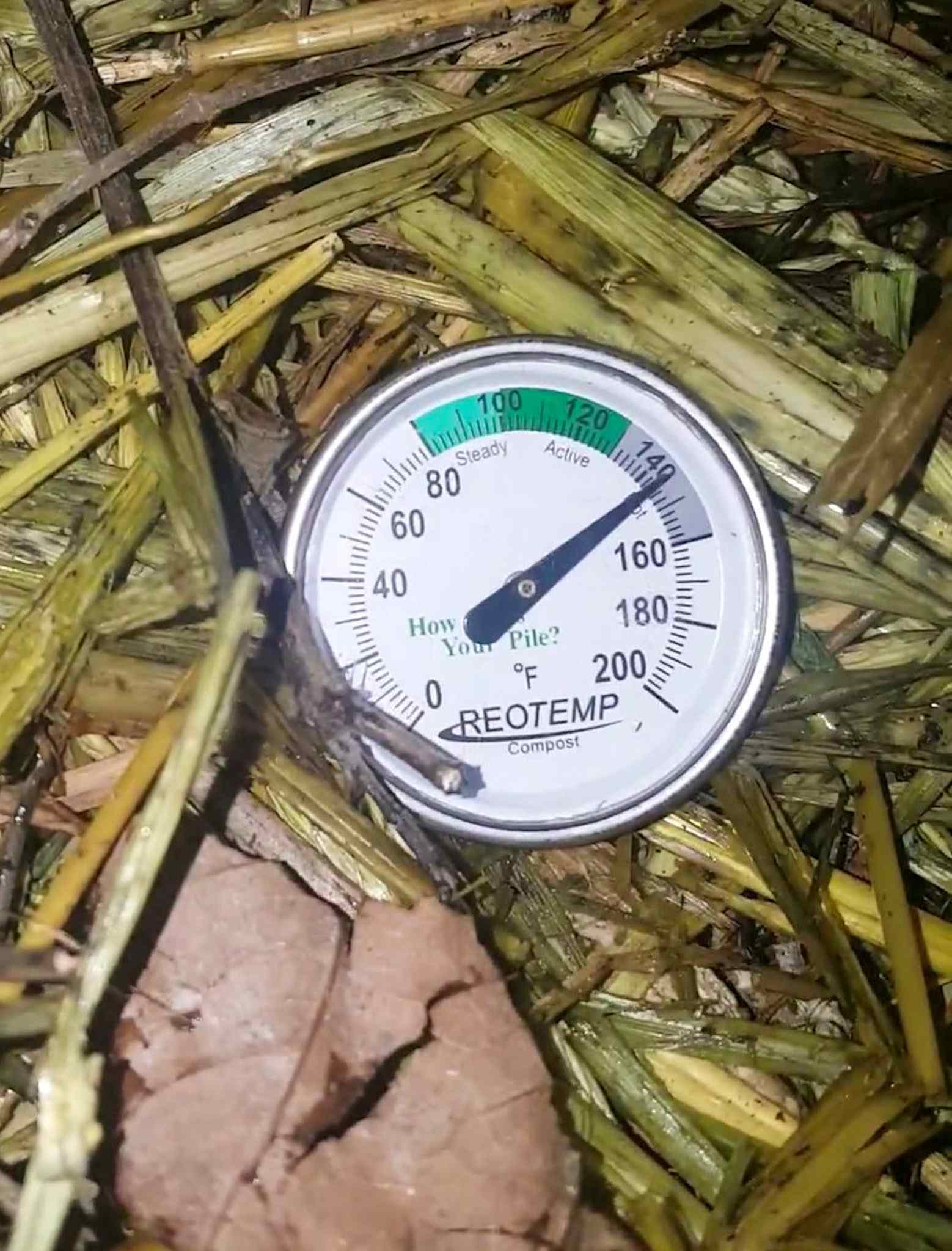 A close up image of a compost probe thermometer inside a hot compost pile, the temperature reads over 140 degrees Fahrenheit. That's how you make compost!