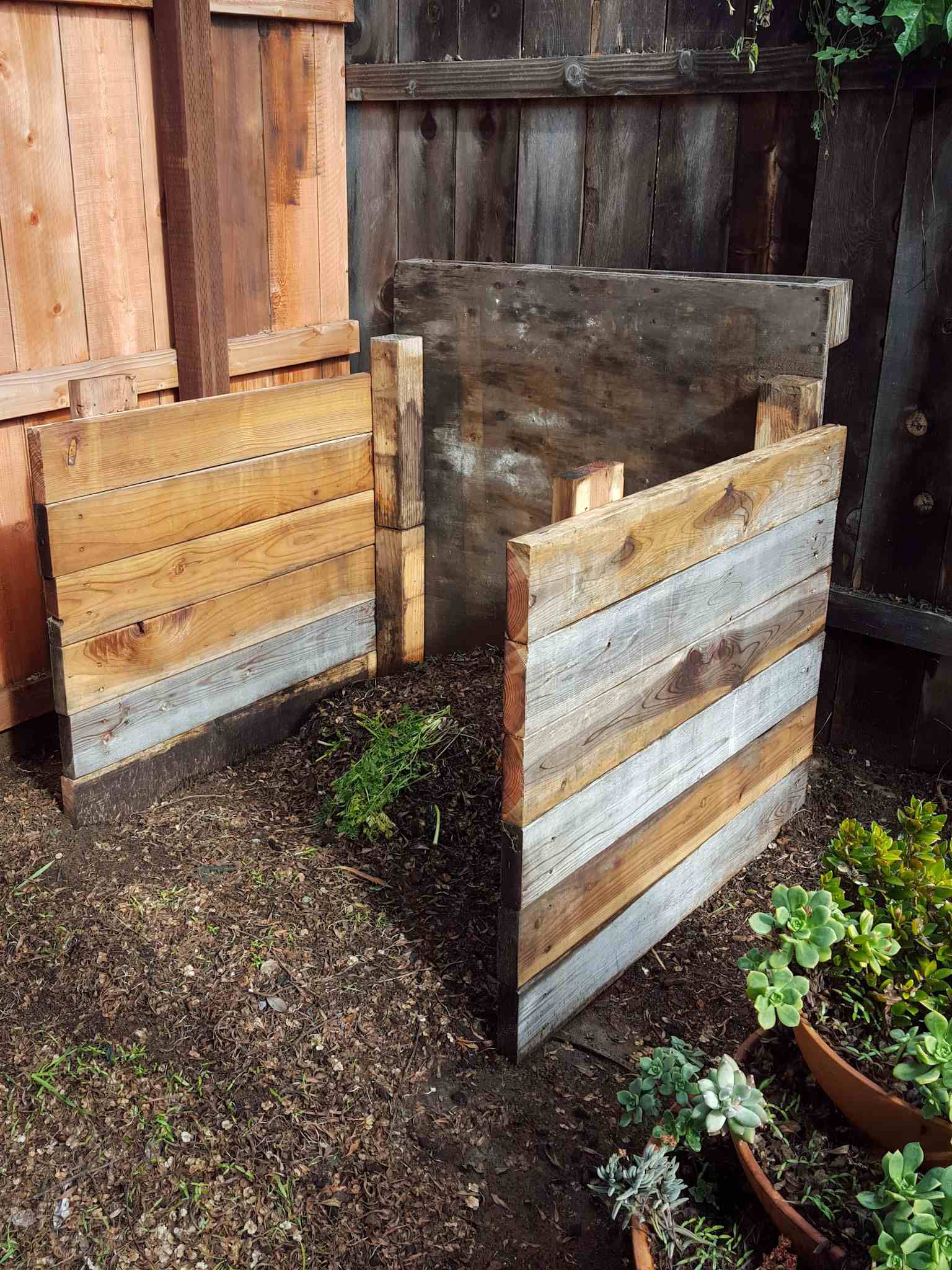 A three sided wooden single compartment compost bin is shown with a small amount of green and brown material in various stages of decomposition inside it. There is a three tiered pot nearby full of succulents. 