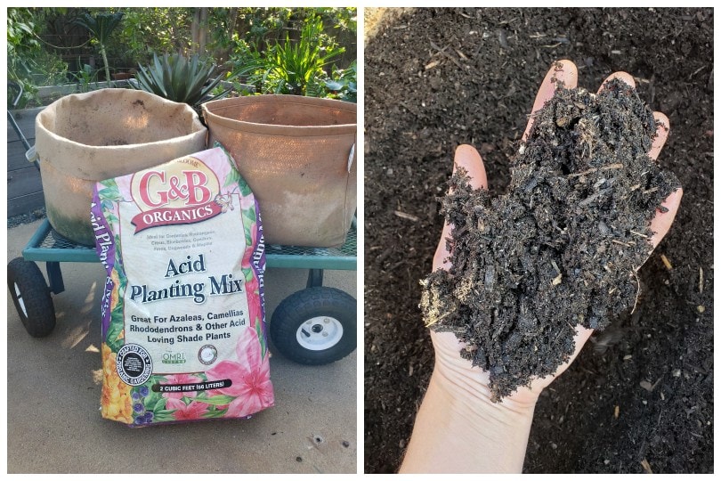 A bag of soil that says "Acid Planting Mix" is leaned up on a garden cart, that has two large tan fabric grow bags on the top of it. Those bags are being filled with that soil soon. The cart is positioned on a patio area with plants in the background. A hand reaches into the soil and shows it has a fluffy texture. 