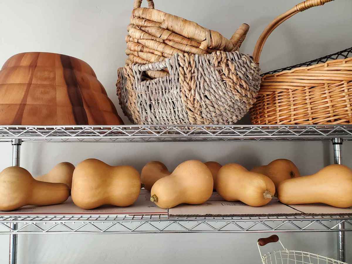 The top two shelves of a wire rack shelving unit is shown with wicker baskets on the top shelf while the second shelf has butternut squash spaced throughout the shelf for curing. 
