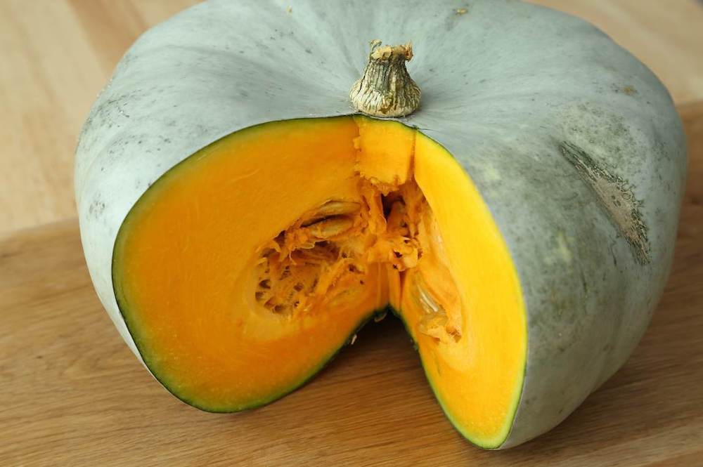 A green, flat, pumpkin shaped squash has had a quarter of the fruit cut out revealing a bright orange flesh inside and a pulpy seed cavity. 