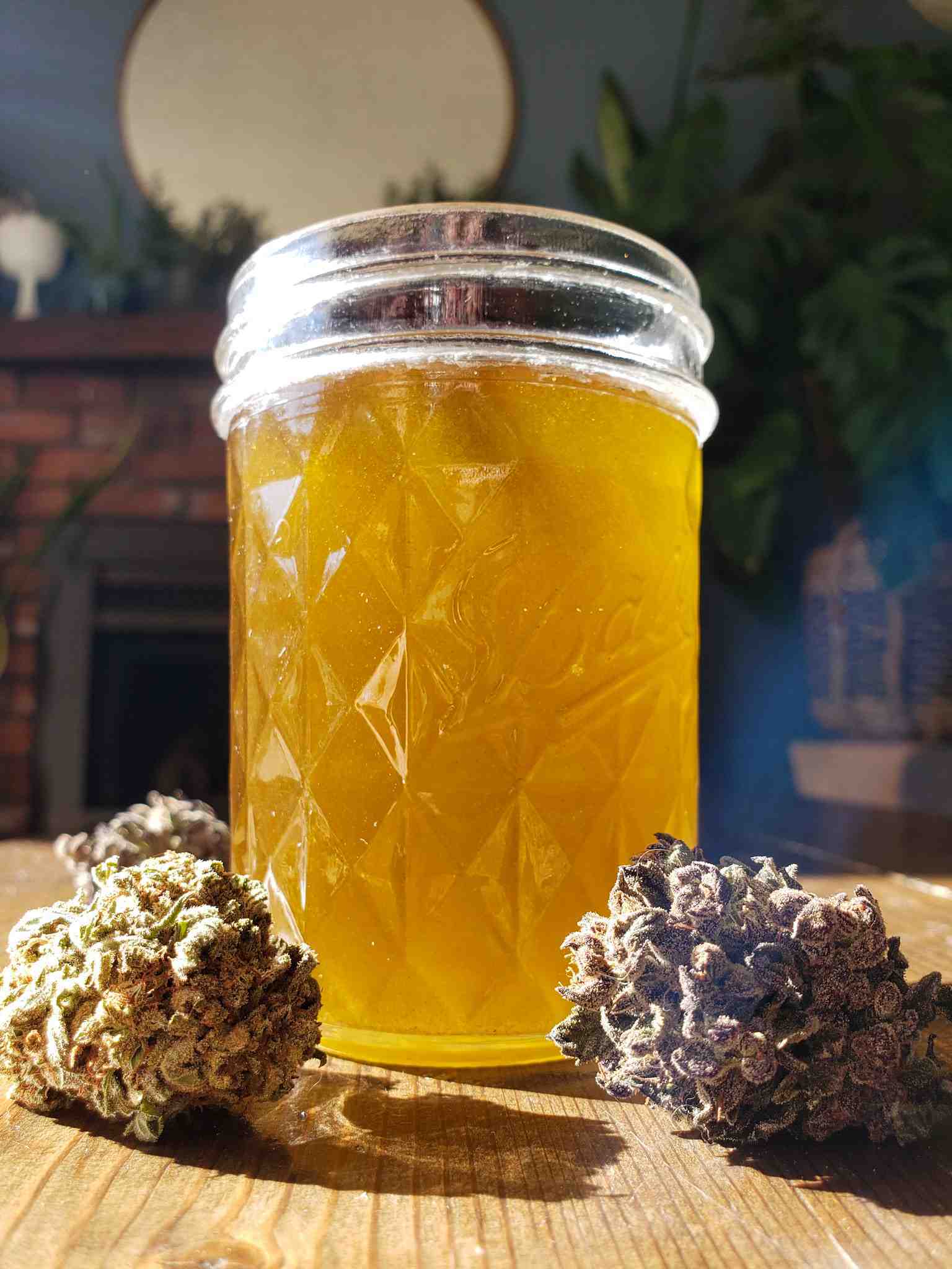 A half pint mason jar is full of freshly made cannabis infused coconut oil. It is cooling so the oil is still in a liquid state, it is glowing yellow in the sunlight and there are two cannabis flowers flanking the front of the jar, their trichomes sparkling in the sun. Choose CBD oil that you can feel confident in how the plant was grown and how the oil was extracted. 