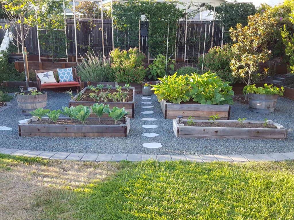 Several raised garden beds surrounded by gravel, where the grass used to be. On the north side of the garden beds are a series of trellises and taller plants, in a location that won't block the best sun exposure from the south. 
