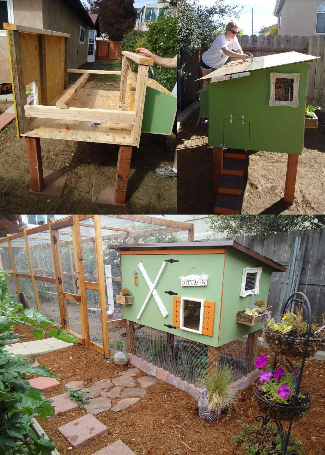 A three part image collage, the first image shows the chicken coop n mid construction. There is a plywood floor with a plywood side and nest boxes hanging off of one end. There are 2x4's running along each side in different directions for support of the structure. There are 4x4's protruding out of the bottom of the coop which are the legs and feet of the coop. The second image shows DeannaCat on a small step ladder nailing roof shingles to the top of the  chicken coop roof. The third image shows the coop and run once fully complete, there is hardware cloth predator proofing lining the run and underneath of the coop.  