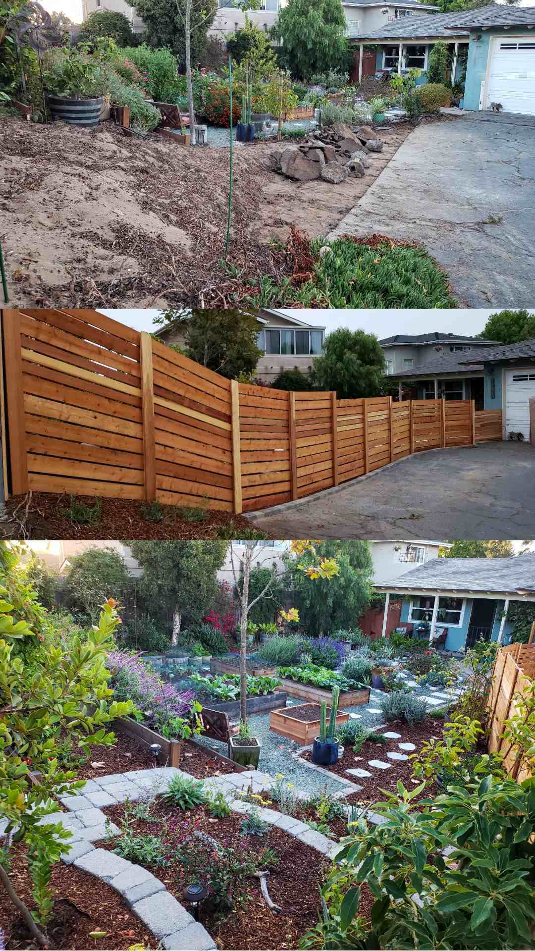 Three part image collage of the last front yard renovation project. The first image shows a large portion of asphalt and ice plant has been removed along with the white picket fence. The second image shows the newly constructed horizontal fence that has been constructed in its place, it is made of redwood boards and there are steps in the height of the fence, starting off at 6 feet tall while finishing close to 4 feet once you reach the gate to the front yard. The third image has been taken from the back corner of the front yards newly constructed stone terrace. There are perennial and annual plants planted in the three sections of terracing along with a fruit tree planted in each on as well. The terrace has bee mulched with bark as is the perimeter of the yard. Flowering plants, shrubs, vines, trees, cacti and vegetable plants are seen throughout the image. 