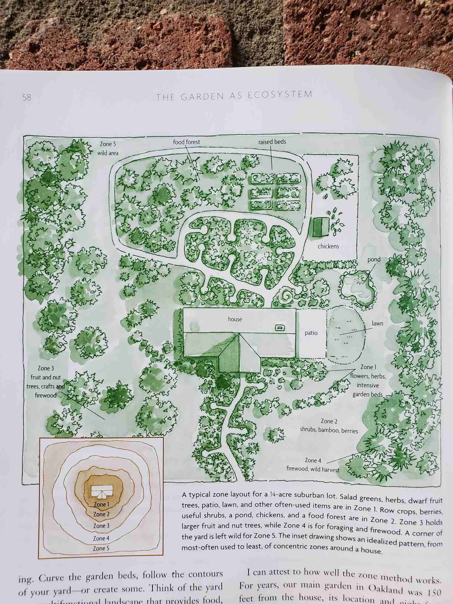 A great gardening book about permaculture is open to a page showing a drawing, illustrating the garden as an ecosystem set up around a house. There are flowers, herbs and intensive garden beds close to the house. Shrubs and berries a little further away, followed by firewood and wild harvest even further. There are also fruit and nut trees, raised beds, a pond, chickens, and a food forest set up around the household. 
