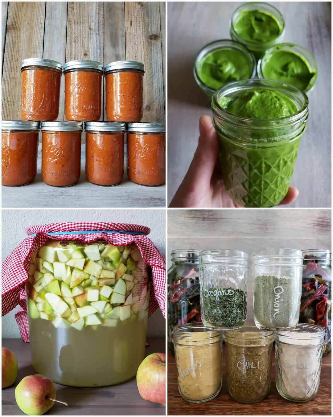 A four part image collage, the first image shows seven pint jars of roasted tomato sauce lined up and ready to freeze for preservation. The second image shows a hand holding a half pint mason jar full of freshly made pesto sauce while three full jars sit in the background. The third image shows a glass crock full of apple chunks, water, and sugar which is the start of making your own apple cider vinegar and the fourth image shows five pint jars of different seasonings, they are oregano, onion powder, lemon powder, chili powder, and garlic powder. There are two half gallon mason jars in the background full of dried chilis. Preserving your harvest is a key step to start a homestead. 