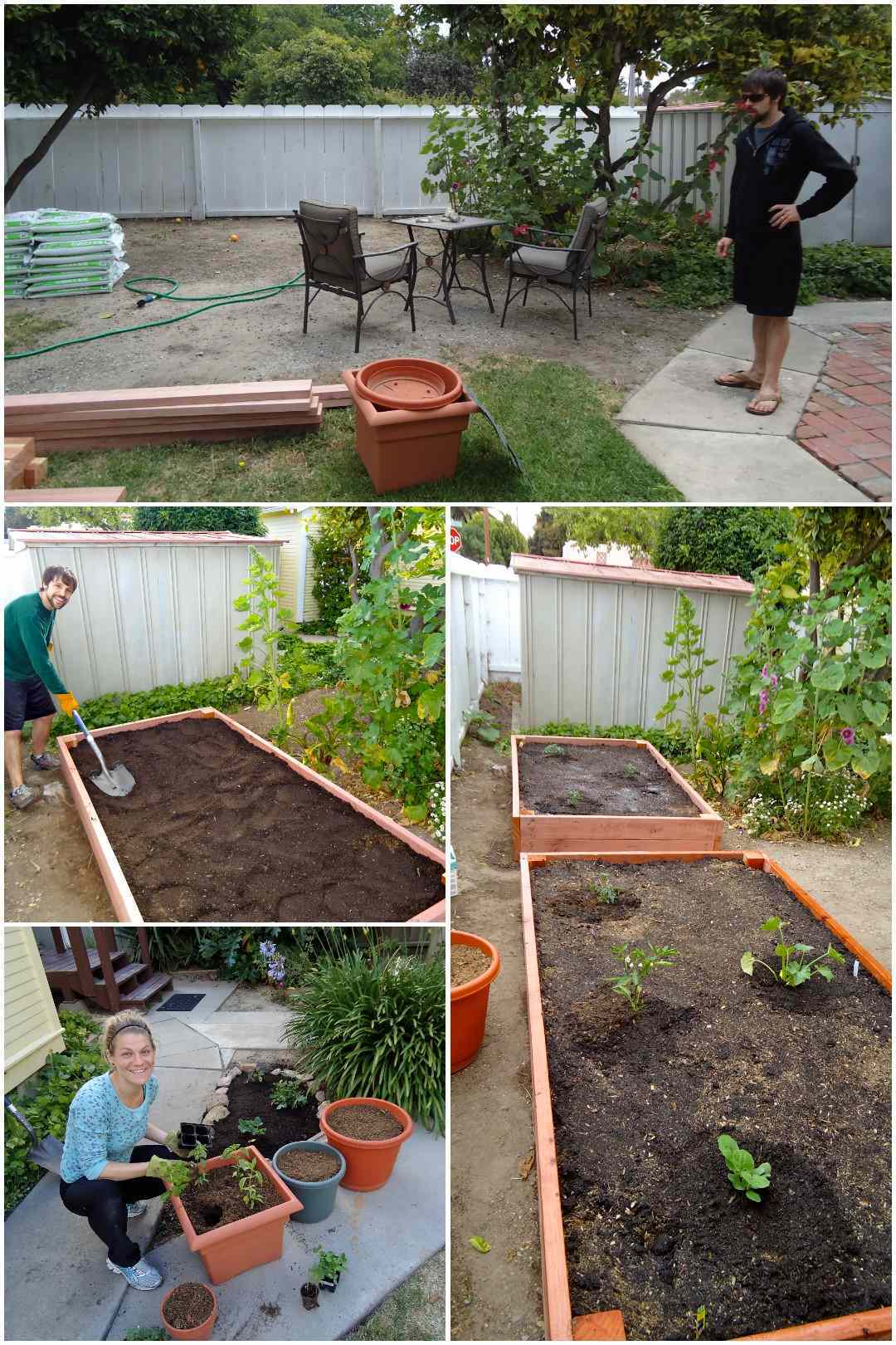A four part image collage showing what one can do in a rental property with limited space. The images vary from getting the necessary supplies to build raised beds such as wood and soil, filling the raised bed with soil once it is built, planting out the raised beds with various plants of choice, in this case it was tomatoes, squash, peppers,and basil, and finally using containers to grow vegetables. They can easily be moved and don't take up as much space. 